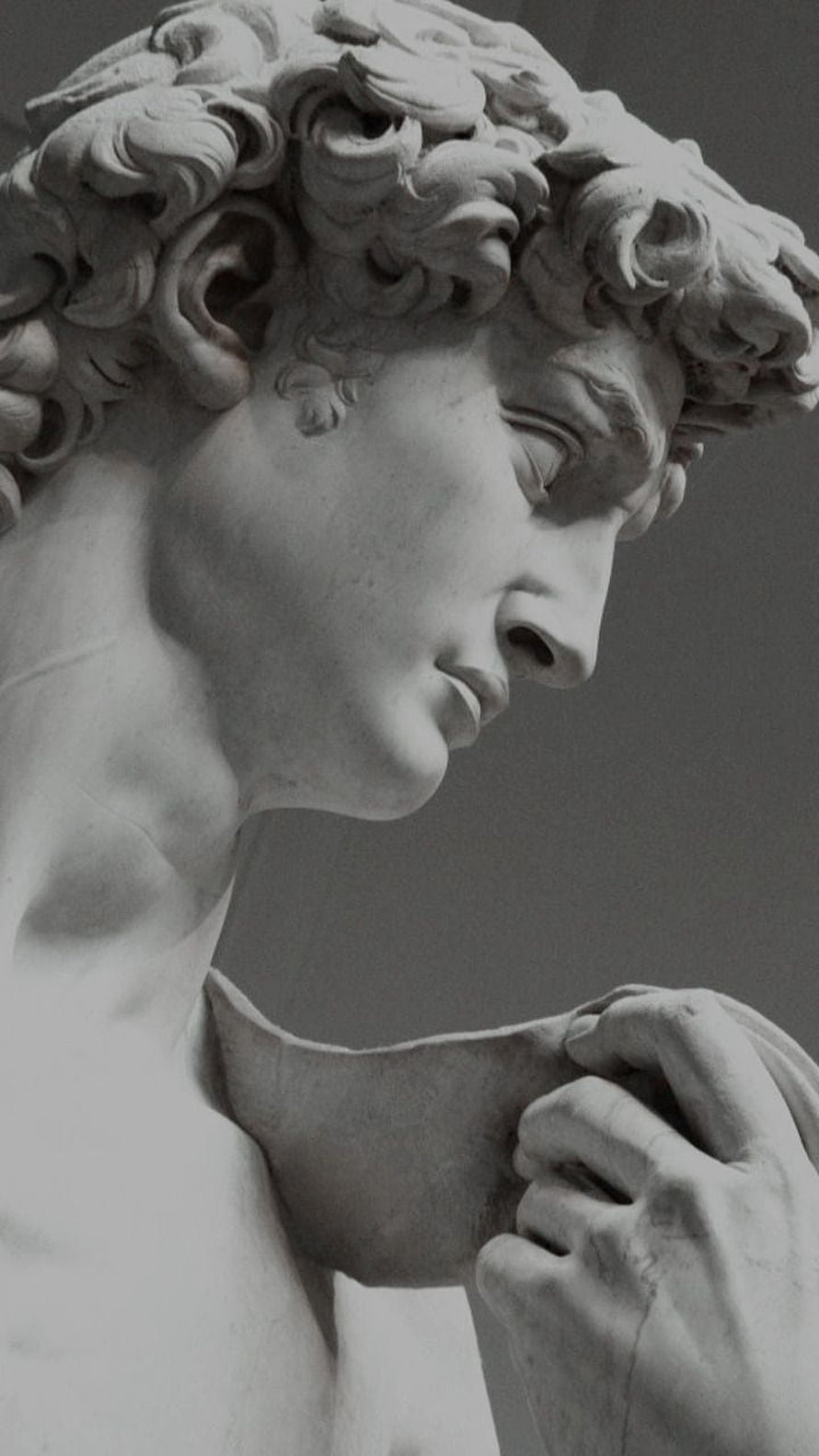 Close-up of a classical marble sculpture head with curly hair and draped fabric HD phone wallpaper