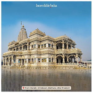 Prem Mandir Temple in Vrindavan, Mathura, Uttar Pradesh, India HD phone wallpaper