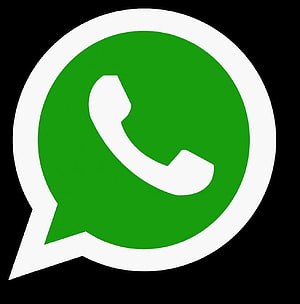 WhatsApp Official Logo Icon Green Speech Bubble With White Telephone Receiver Symbol HD phone wallpaper