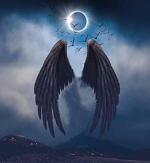 Dark Angel Wings Under Solar Eclipse With Flying Birds And Cloudy Sky HD phone wallpaper