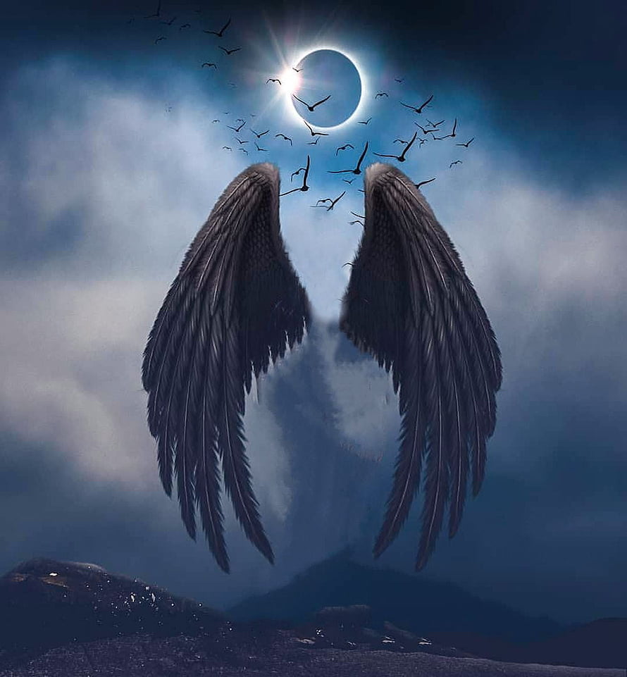Dark Angel Wings Under Solar Eclipse With Flying Birds And Cloudy Sky HD phone wallpaper