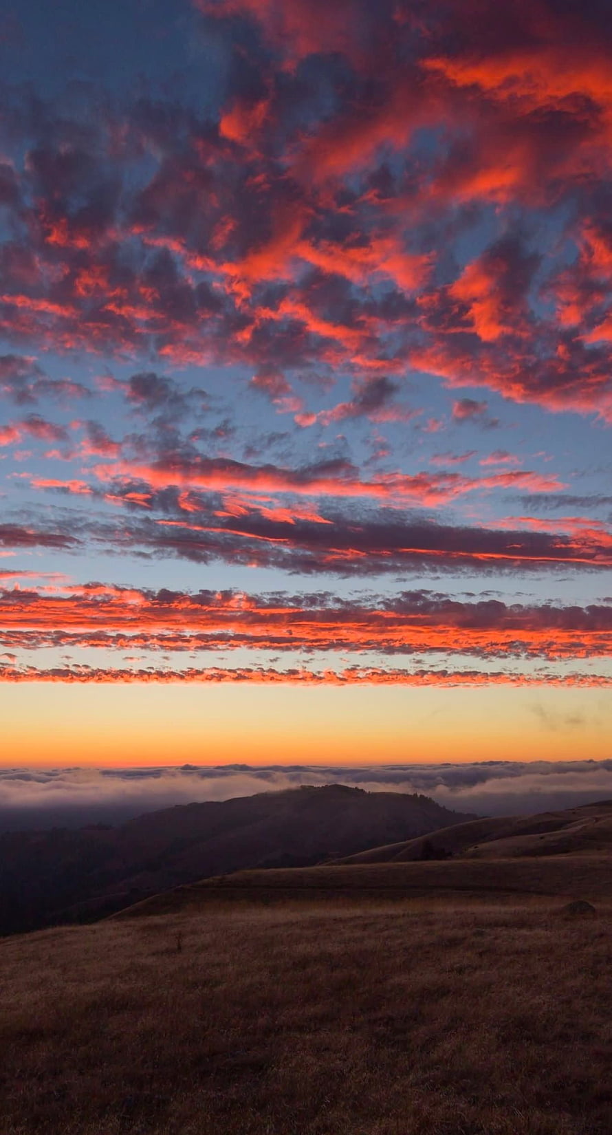 Vibrant Sunset Over Rolling Hills With Fiery Red Clouds And Sea Of Fog HD phone wallpaper