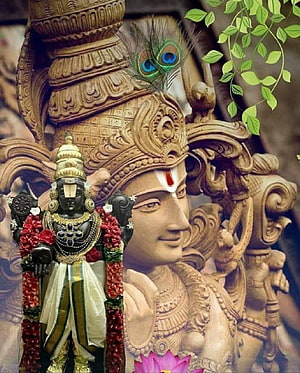 Venkateswara Swamy Temple Idol With Peacock Crown And Floral Garland HD phone wallpaper