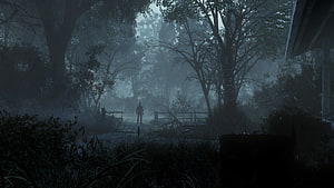 The Evil Within 2 Foggy Forest Scene with Lone Figure and Rustic Fence HD wallpaper