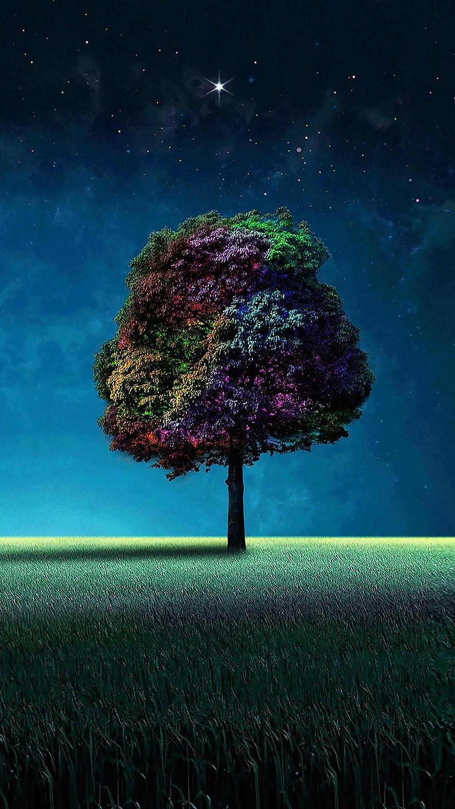 Magical Multicolored Tree Under Starry Night Sky HD phone wallpaper