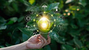 Hand Holding Glowing Green Energy Concept with Renewable Resource Icons HD wallpaper