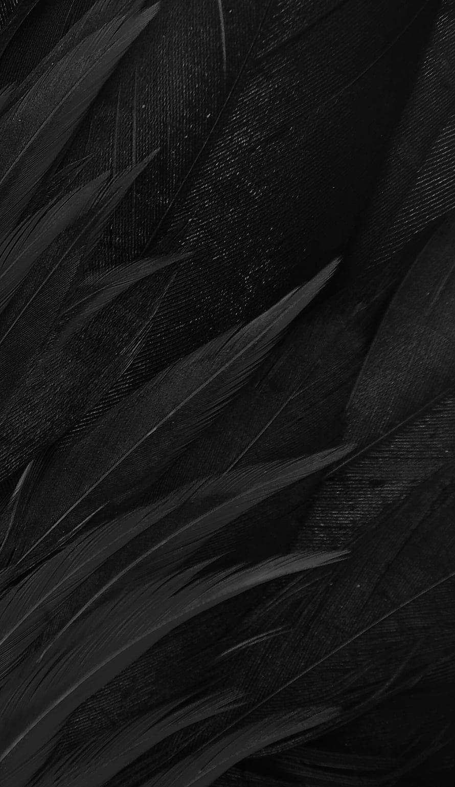 Close-up of layered black feathers with intricate texture and dark moody aesthetic HD phone wallpaper