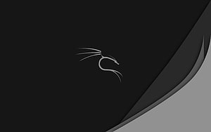 Minimalist Dragon Line Art on Dark Background with Curved Gray Accent HD wallpaper