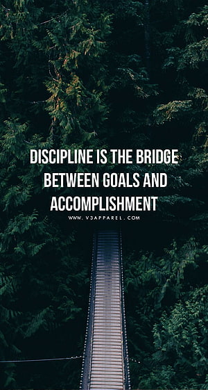 Suspension Bridge Through Dense Forest With Motivational Quote About Discipline HD phone wallpaper