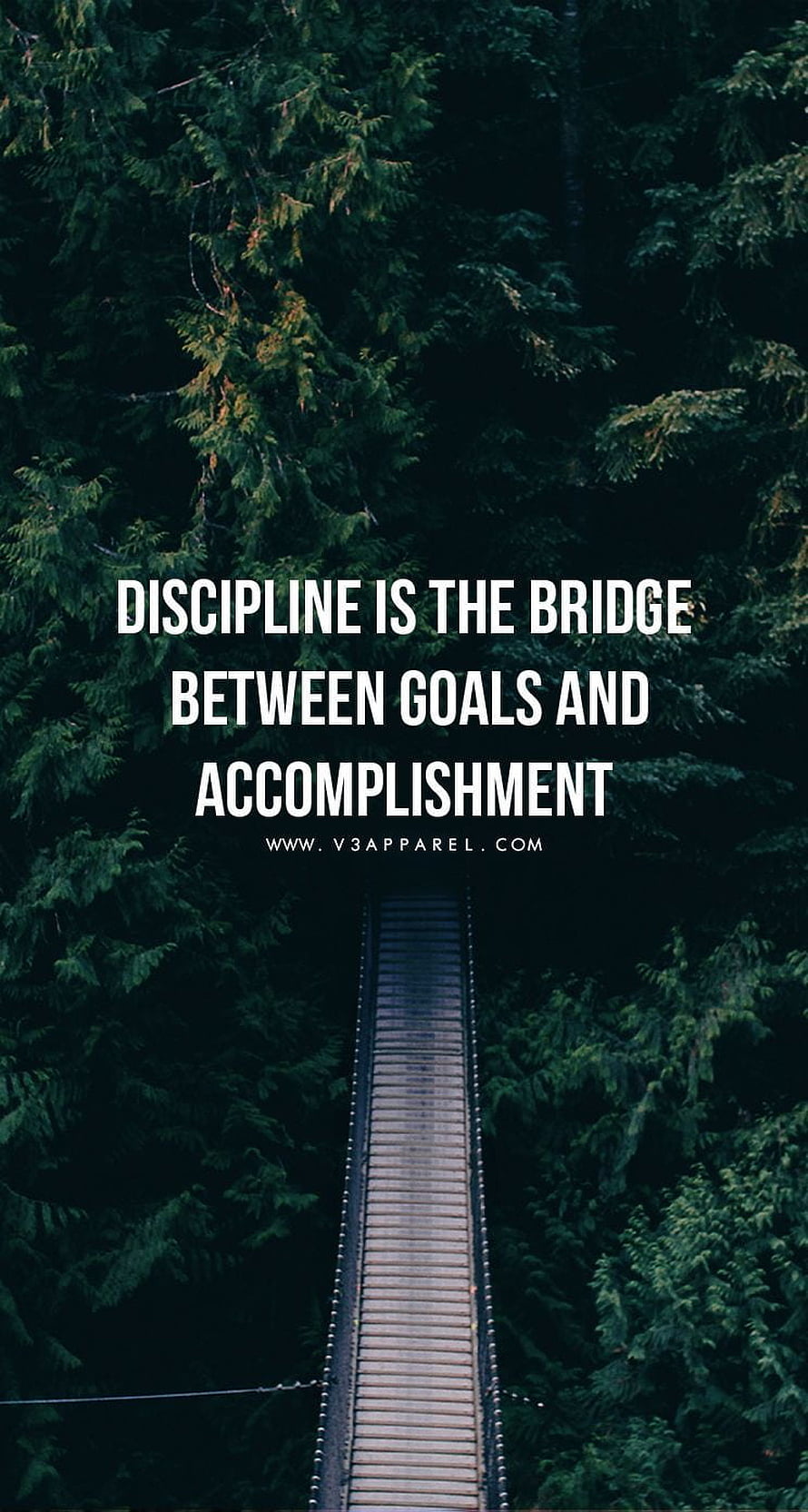 Suspension Bridge Through Dense Forest With Motivational Quote About Discipline HD phone wallpaper