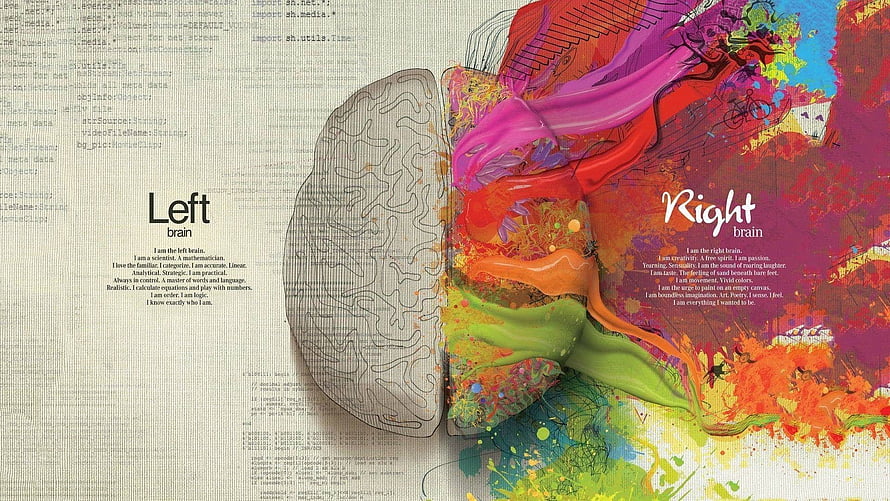 Left and Right Brain Duality: Monochrome Logic Meets Vibrant Creative Art HD wallpaper