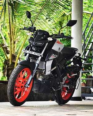 Yamaha MT-15 Motorcycle with Red Rims Parked in Tropical Garden Setting HD phone wallpaper