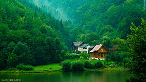 Serene Lakeside Village Surrounded by Lush Green Forest and Mountains HD wallpaper