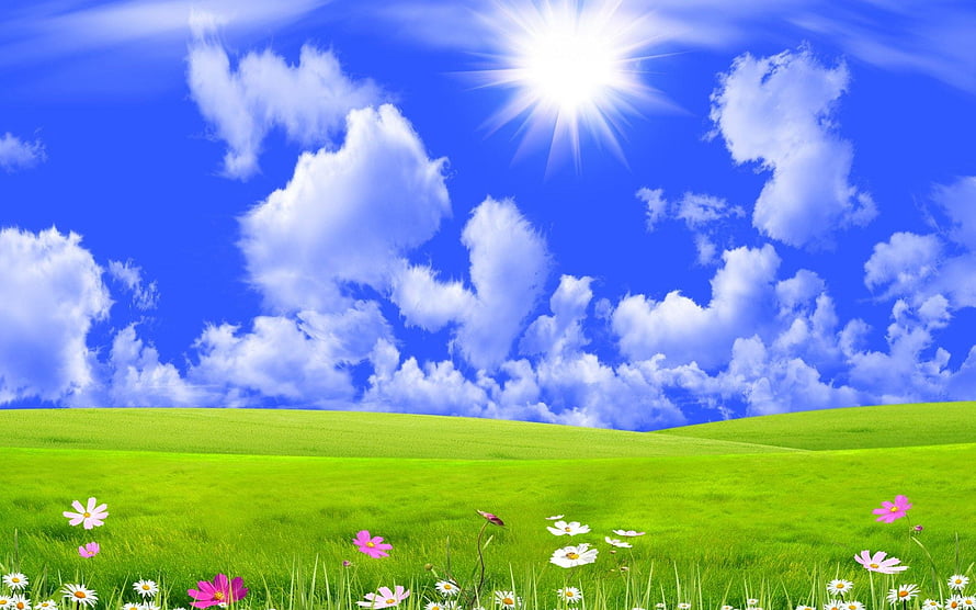 Vibrant Green Meadow with Wildflowers Under a Bright Blue Sky and Fluffy Clouds HD wallpaper