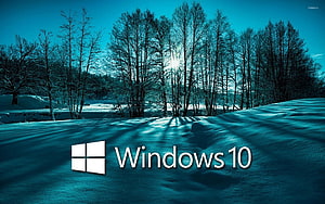 Windows 10 Winter Forest Wallpaper with Snowy Landscape and Bare Trees HD wallpaper