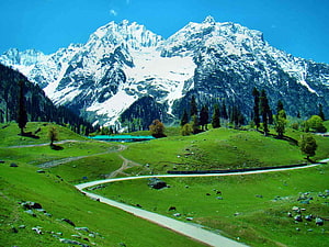 Snow-Capped Kashmir Mountains Rising Over Lush Green Meadows and Winding Path HD wallpaper