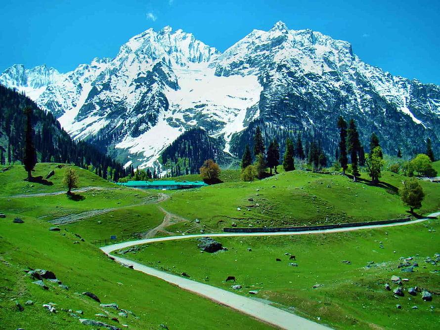 Snow-Capped Kashmir Mountains Rising Over Lush Green Meadows and Winding Path HD wallpaper