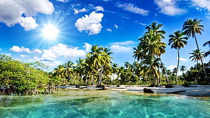 Tropical Paradise Beach with Crystal Clear Turquoise Water and Palm Trees HD wallpaper