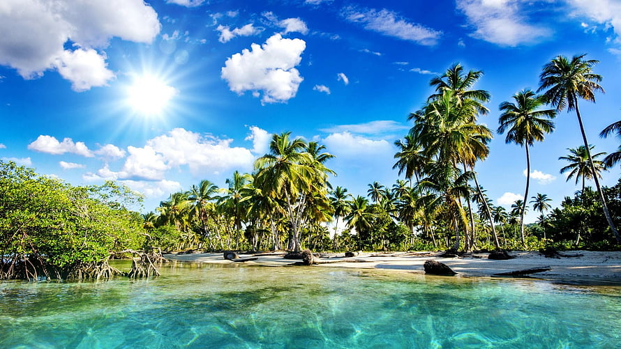 Tropical Paradise Beach with Crystal Clear Turquoise Water and Palm Trees HD wallpaper