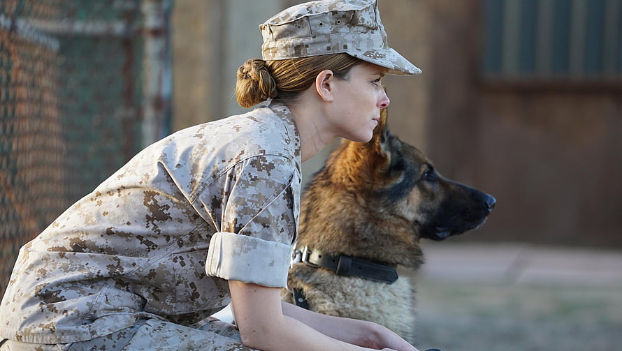 Megan Leavey in military uniform crouching beside a German Shepherd dog in a cinematic still, Megan Leavey (2022) movie HD wallpaper