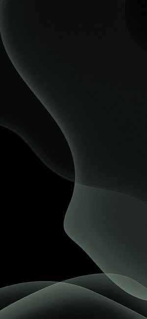 Abstract Dark Green Curved Shapes on Black Background HD phone wallpaper