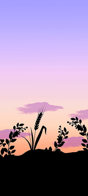 Silhouette of wheat and berry branches against a pastel purple and orange sunset sky with soft clouds HD phone wallpaper