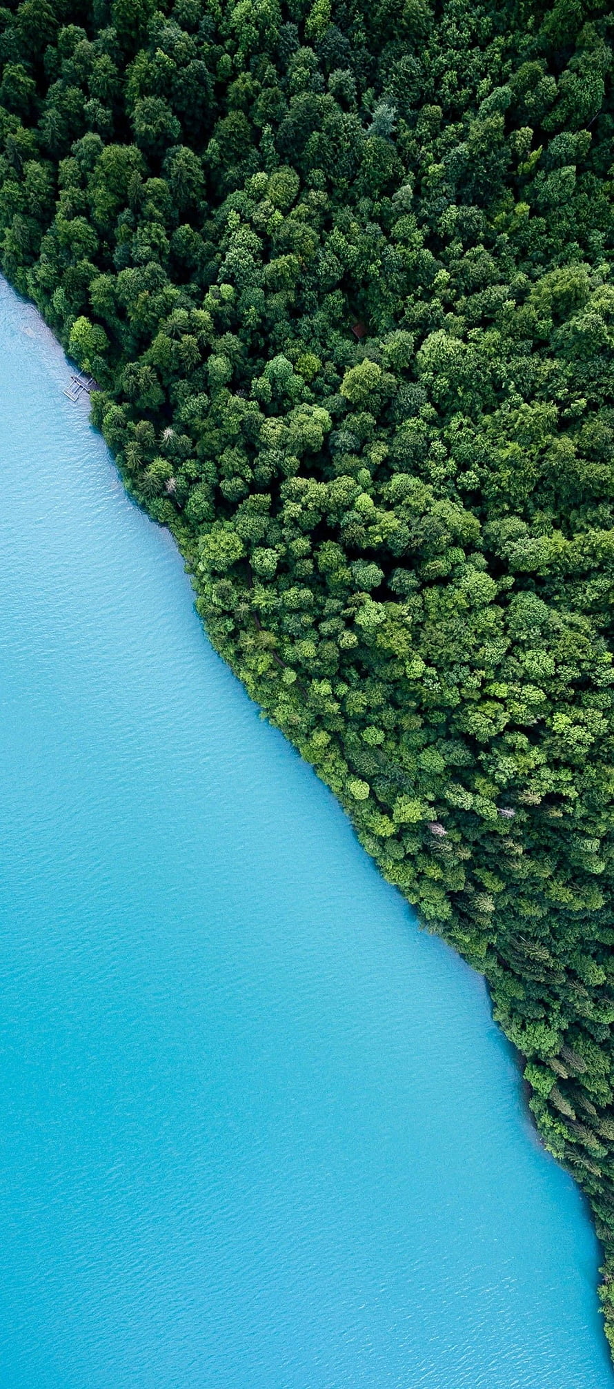 Aerial View of Turquoise River Bordering Dense Green Forest Canopy HD phone wallpaper
