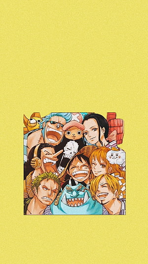 One Piece Straw Hat Pirates Group Portrait Anime Wallpaper HD phone wallpaper