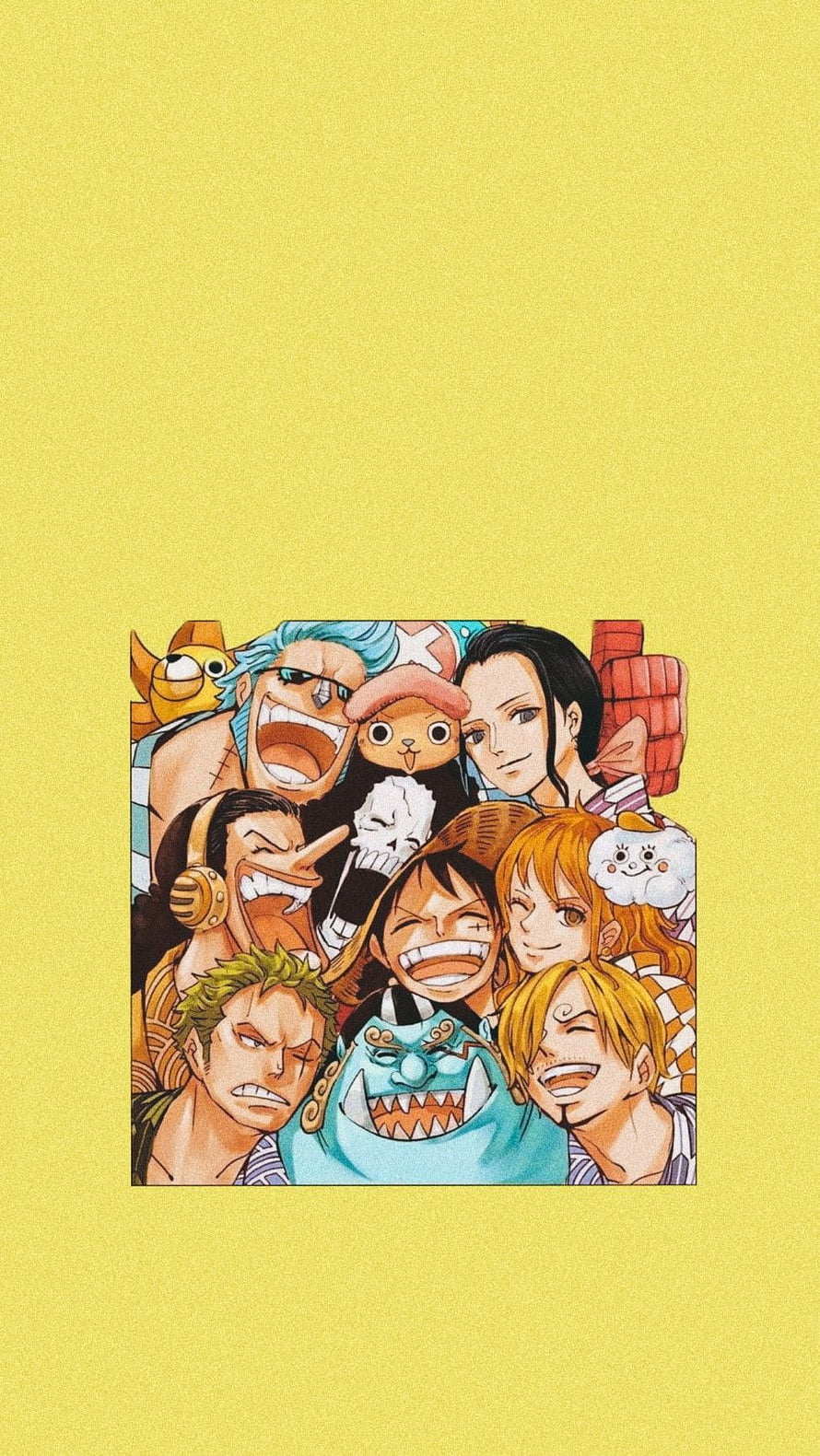 One Piece Straw Hat Pirates Group Portrait Anime Wallpaper HD phone wallpaper