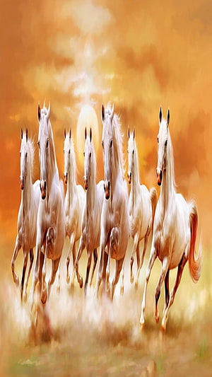 Seven White Horses Galloping in a Golden Sunset Landscape HD phone wallpaper