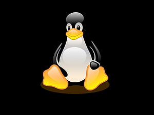 Tux the Linux Penguin Mascot Sitting on Black Background HD wallpaper