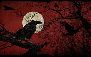 Gothic Raven Perched on Branch Against Full Moon in Dark Red Sky HD wallpaper