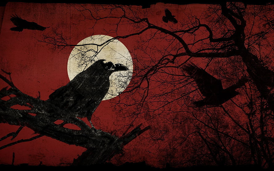 Gothic Raven Perched on Branch Against Full Moon in Dark Red Sky HD wallpaper