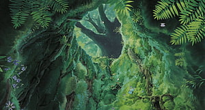 Lush Green Forest Background With Mossy Trees And Ferns HD wallpaper