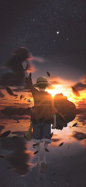 Monkey D. Luffy Raising Fist at Sunset Anime Wallpaper HD phone wallpaper