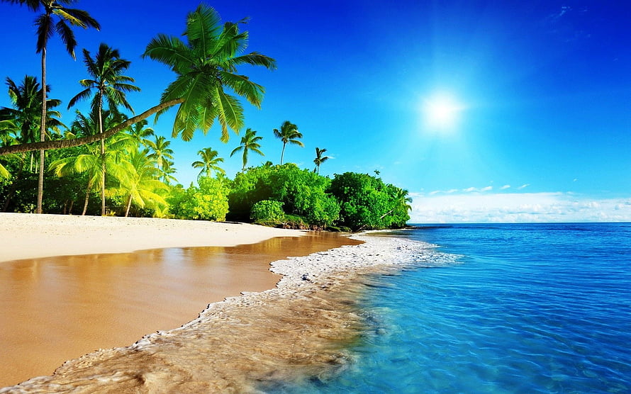 Tropical Beach with Palm Trees and Turquoise Ocean Under a Bright Blue Sky HD wallpaper