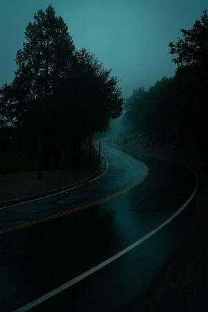 Moody Wet Road Curving Through Foggy Forest at Dusk HD phone wallpaper