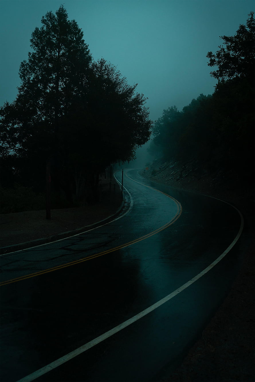 Moody Wet Road Curving Through Foggy Forest at Dusk HD phone wallpaper