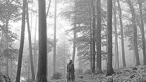 Lone figure standing in a misty black and white forest with tall trees HD wallpaper