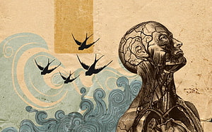 Vintage Anatomical Illustration of Human Head and Neck with Swallows and Waves, Psychology HD wallpaper