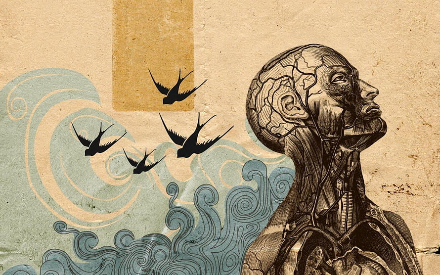 Vintage Anatomical Illustration of Human Head and Neck with Swallows and Waves, Psychology HD wallpaper