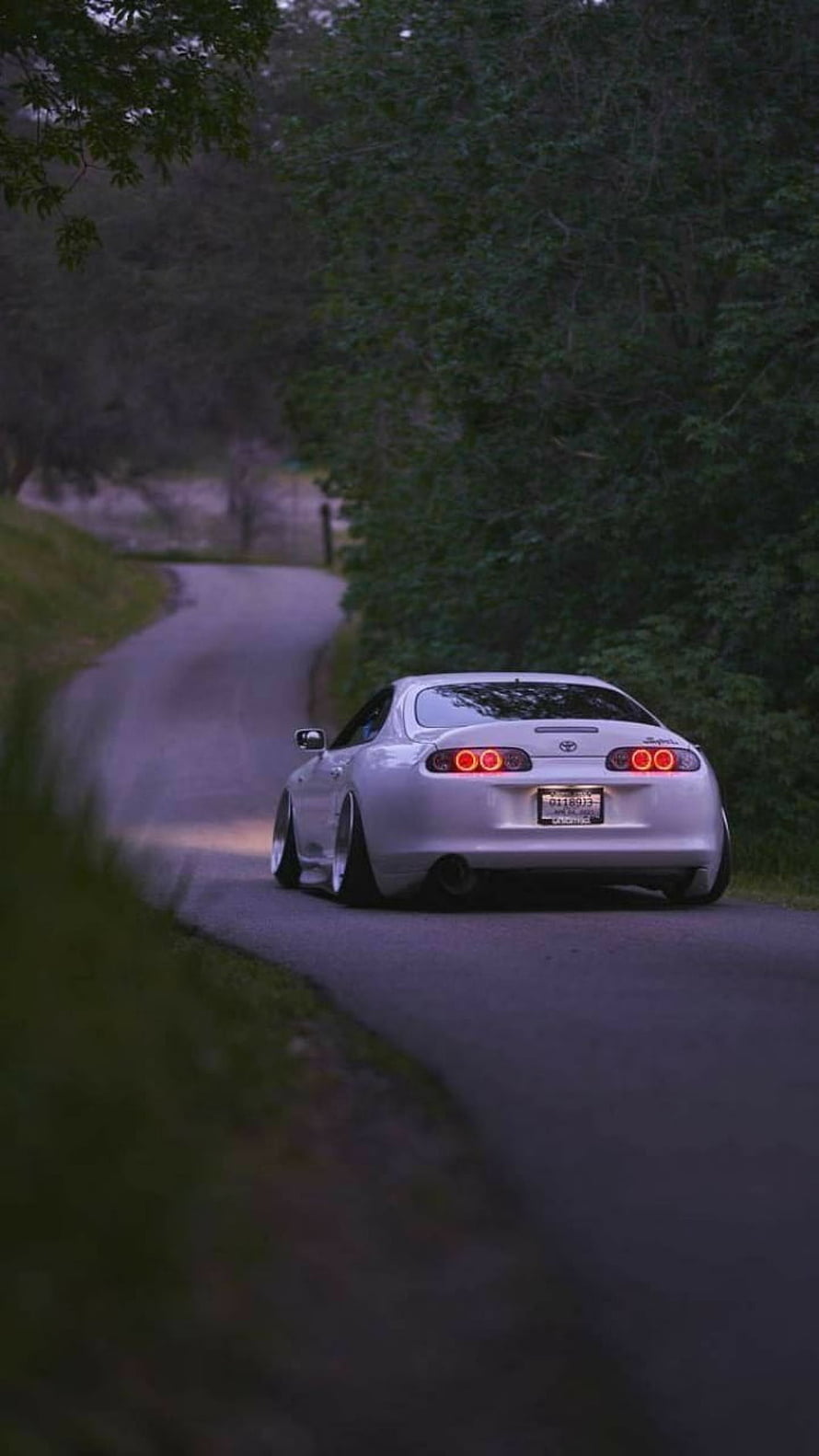 White Toyota Supra Driving on Winding Forest Road at Dusk HD phone wallpaper