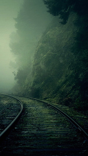 Misty Railway Tracks Winding Through a Dark Forested Mountain Cliff HD phone wallpaper