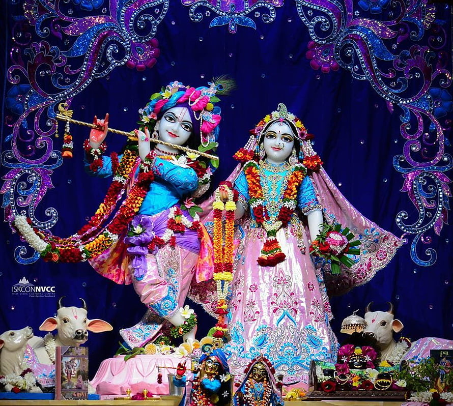 ISKCON Temple Altar Featuring Krishna and Radha Deities with Ornate Floral Decorations HD wallpaper