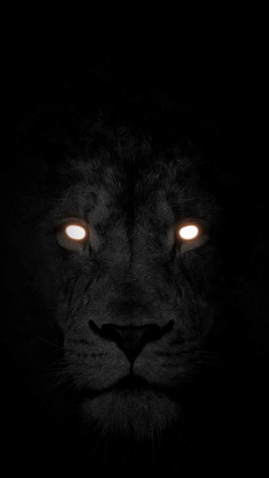 Majestic Lion Face Emerging From Darkness With Glowing Eyes HD phone wallpaper