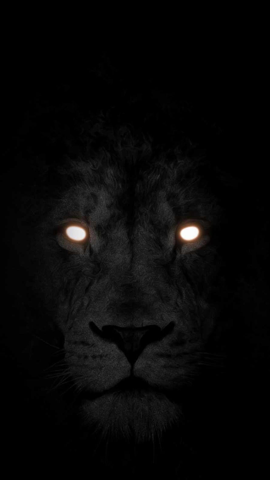 Majestic Lion Face Emerging From Darkness With Glowing Eyes HD phone wallpaper