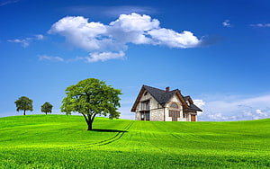 Modern Stone House on a Lush Green Hill with Blue Sky and Fluffy Clouds HD wallpaper