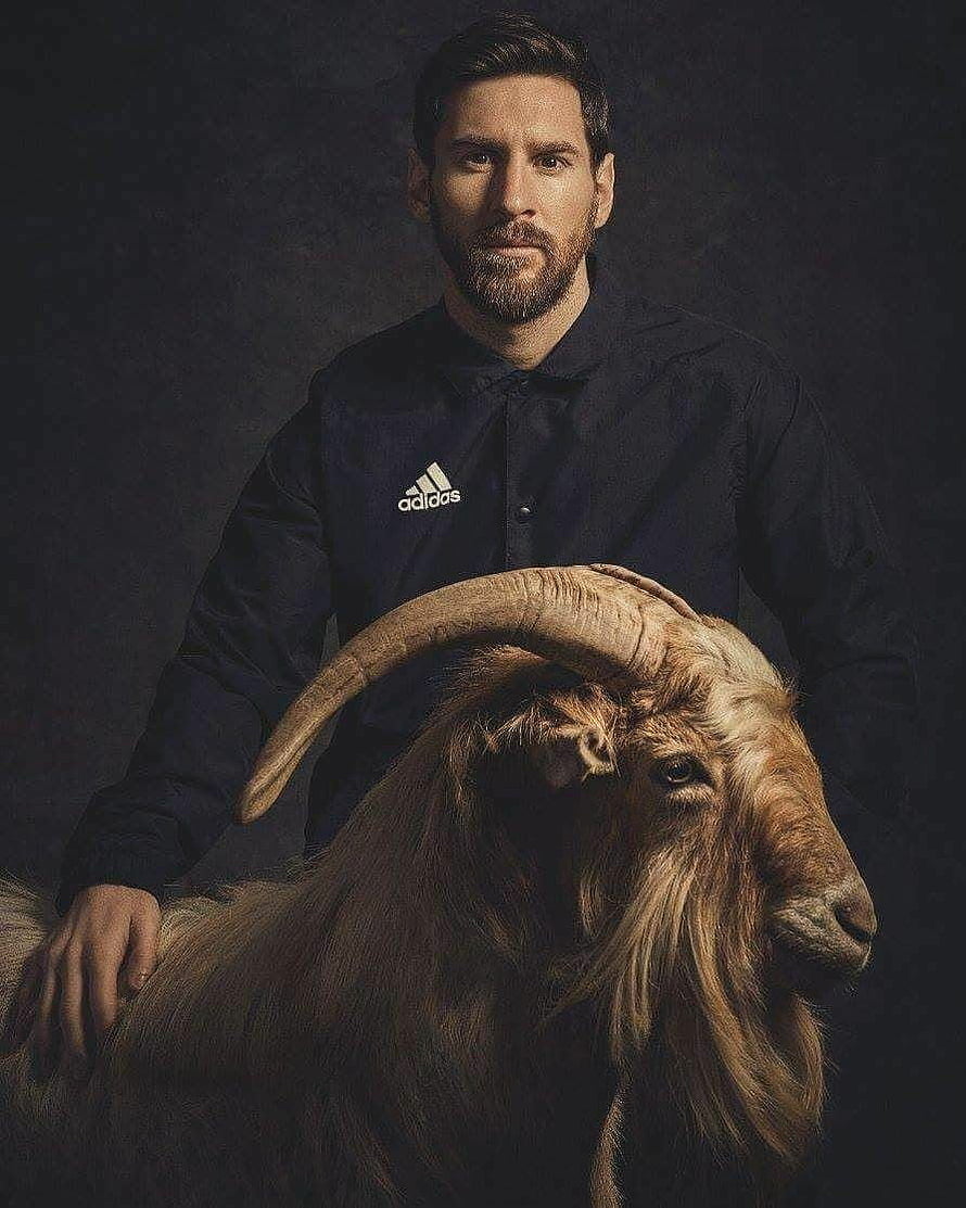 Lionel Messi Portrait with Long-Horned Goat in Dark Studio Setting HD phone wallpaper