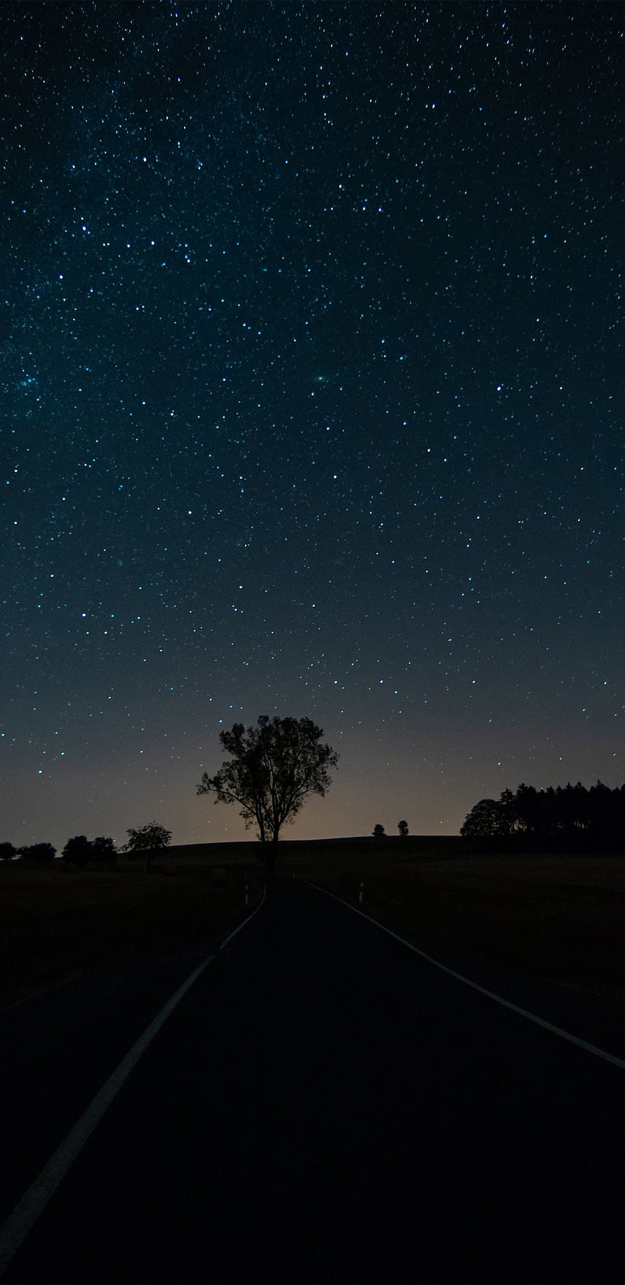 Starry Night Sky Over a Dark Country Road with Silhouetted Trees HD phone wallpaper