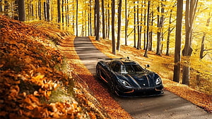 Black Koenigsegg Agera RS parked on a winding forest road surrounded by golden autumn foliage HD wallpaper